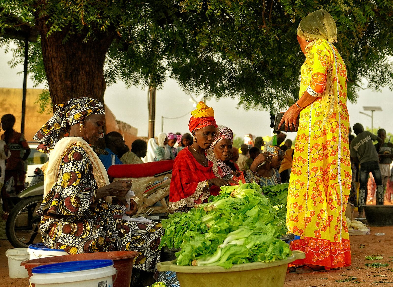 Diversité des langues et dialectes en Afrique