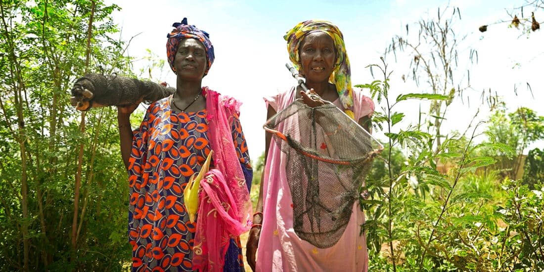Réalisation Capsule Vidéo Sénégal