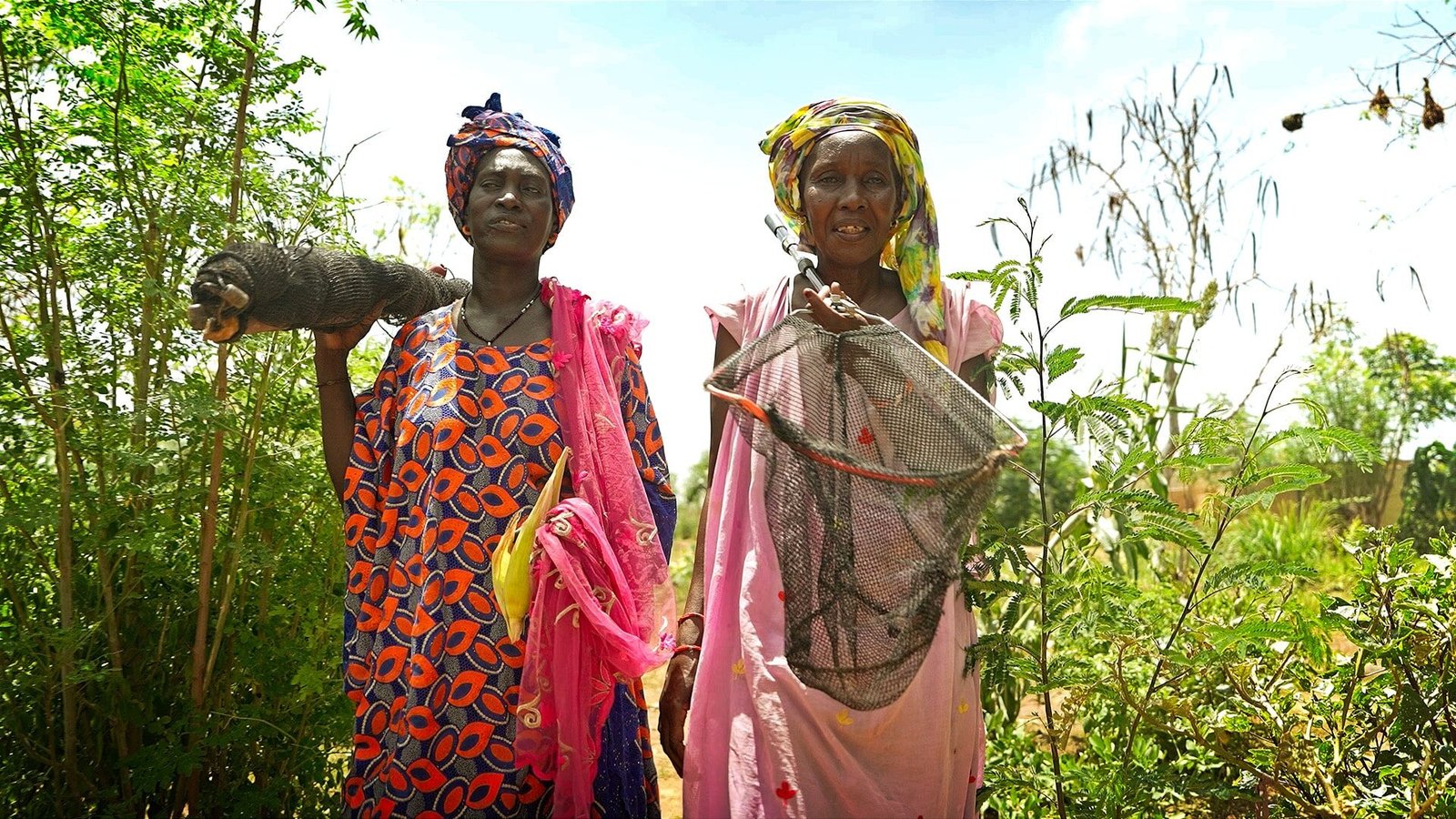 Réalisation Capsule Vidéo Sénégal
