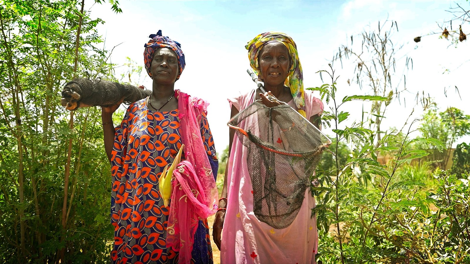Réalisation Capsule Vidéo Sénégal