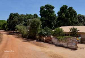 Vue aérienne du village de Casamance à Ziguinchor, Sénégal, montrant l'architecture locale et la végétation.